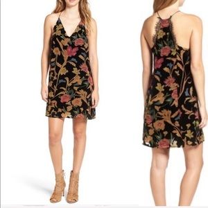 Astr floral velvet dress